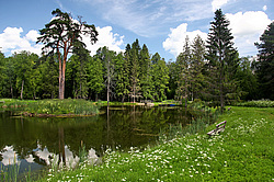 ������, �������� �������