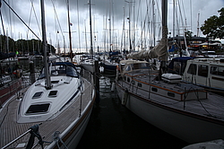 ����� ���������