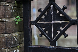 ����� ���������