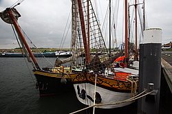 ������ ������