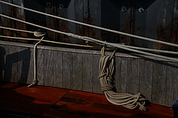 ����� ���������