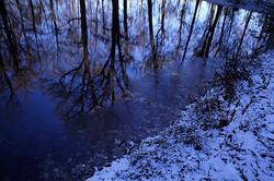 ���� �� ���������� �����, ������ ����