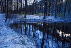 ���� �� ���������� �����, ������ ����