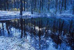 ���� �� ���������� �����, ������ ����