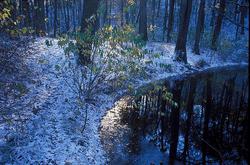 ���� �� ���������� �����, ������ ����