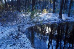 ���� �� ���������� �����, ������ ����