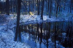 ���� �� ���������� �����, ������ ����