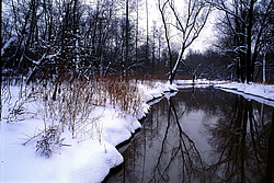 ��������� ����, ���� � ����� ������