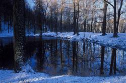 ���� �� ���������� �����, ������ ����