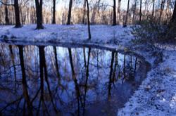 ���� �� ���������� �����, ������ ����