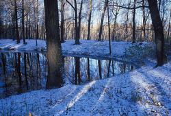 ���� �� ���������� �����, ������ ����