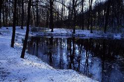 ���� �� ���������� �����, ������ ����