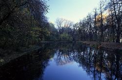 ���� �� ���������� �����, ������ ����