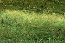 ��������� ����� ����������