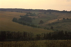 ������� ��������� ����������