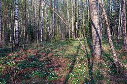 �� ����� <������� ����������� ���������>