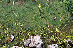 �������, ������� �����������, ����� ��������� (���.���� ������������)