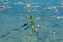 �������, ������� �����������, ����� ��������� (���.���� ������������)