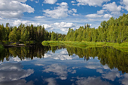 �������, ����� ��������� (���.���� ������������)