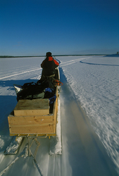 ����������� ���������� ��������. ������ ����, ����� ����