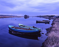 �������� ����������� ���������� �������, ��� 2008