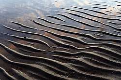 ������� ��������. �������� �����, ������������� �������.