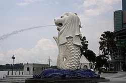 ��������, ����� ����