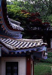 ����� �����, ����