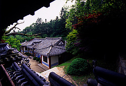 ����� �����, ����