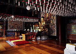 ����� �����, ����