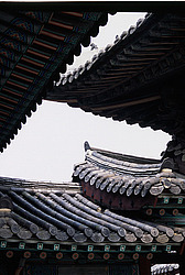 ����� �����, ����