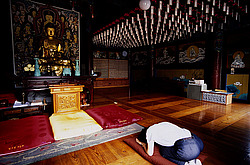 ����� �����, ����