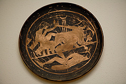 ����� �������. ���������, �������