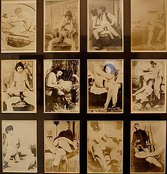 ����� �������. ���������, �������