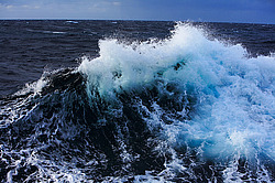 ����. ������� ������� �����������