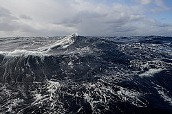 ����. ������� ������� �����������