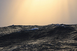 ����. ������� ������� �����������