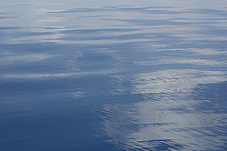 ����. ������� ������� �����������