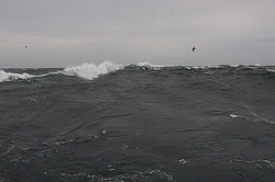 ����. ������� ������� �����������