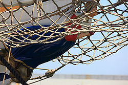 ������� ���������� ���������� ��������