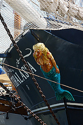 ������� ���������� ���������� ��������