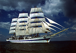 ��� - ����������� ������� (����� � ������ �������� �����������), ������