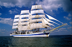 ��� - ����������� ������� (����� � ������ �������� �����������), ������