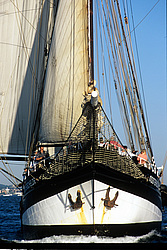 	Oosterschelde - Topsail shooner Netherland