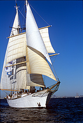 Corwith Cramer (������ ������)- brigantine, USA