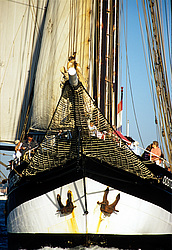 	Oosterschelde - Topsail shooner Netherland