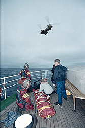 ���� ����������� (Padua) - ���������� ��������������� ����. ������������ ��������. ������������ �������� � �������������� ������, 2002 , �������� ������� � ������� ������� (���)