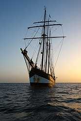	Oosterschelde - Topsail shooner Netherland