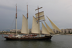 Gulden Leeuw (������� ��� )