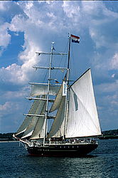 Swan fan Makkum - Brigantine Netherlands